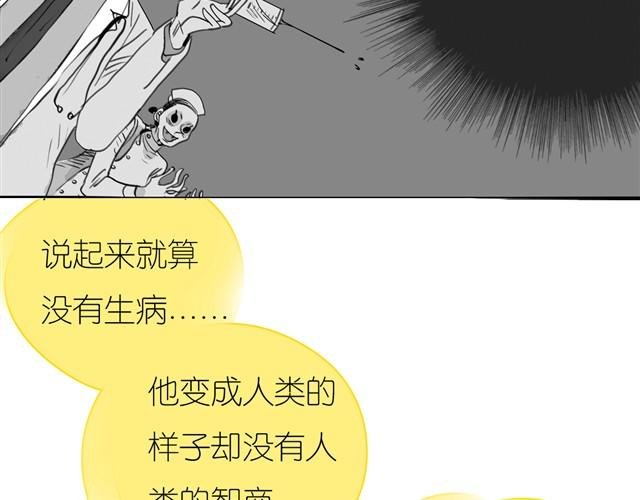 第18话 该带阿汪去看兽医吗？