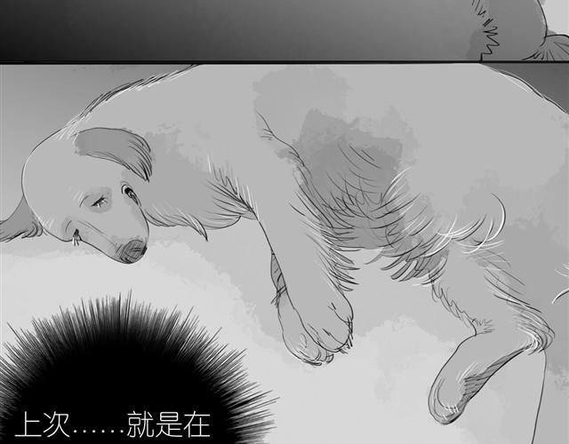 第22话 再见了哦阿汪