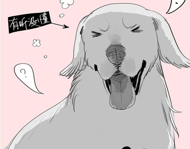 第22话 再见了哦阿汪