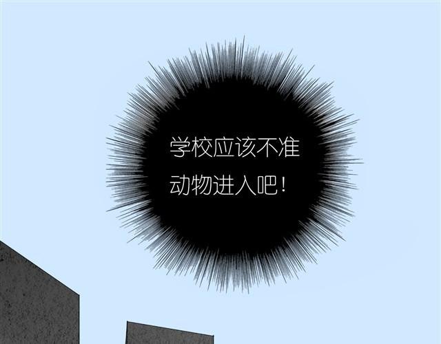 第23话 不准玩我的狗！