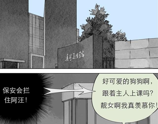 第23话 不准玩我的狗！