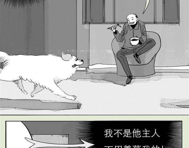 第23话 不准玩我的狗！