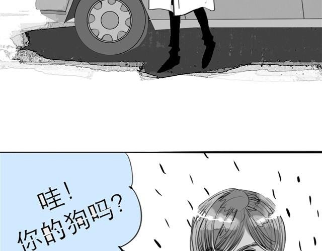 第23话 不准玩我的狗！