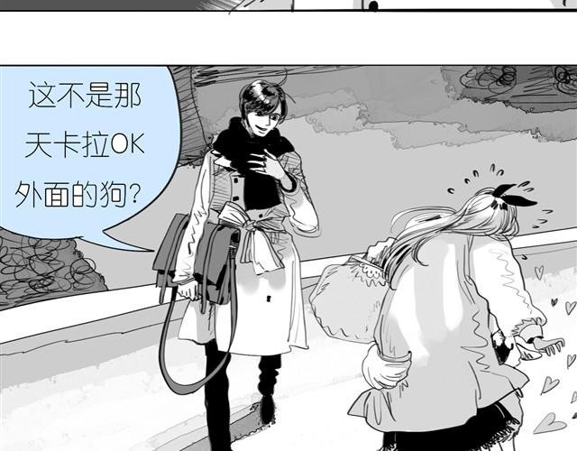 第23话 不准玩我的狗！