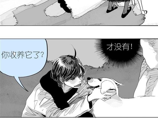 第23话 不准玩我的狗！