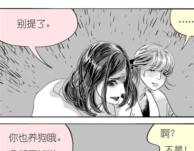 第23话 不准玩我的狗！