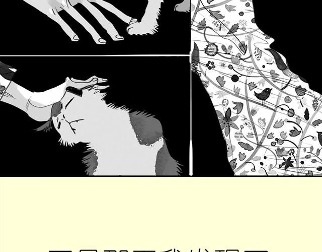 第3话 也许我只适合跟它做朋友