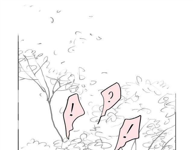 第47话 找到贝鹿了！