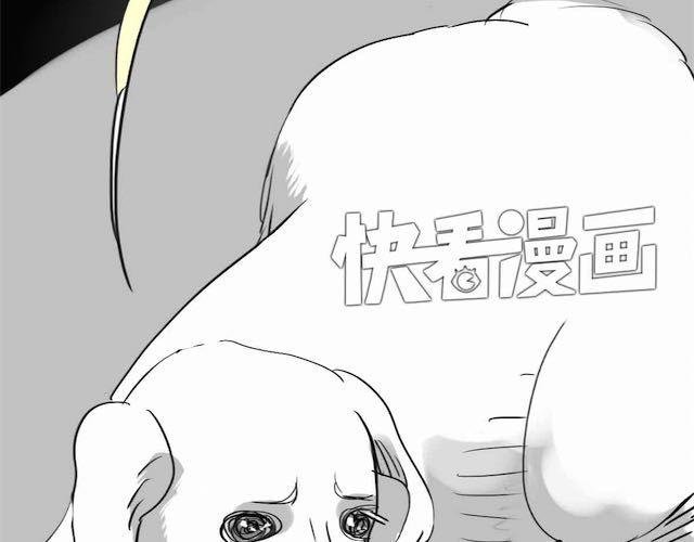 第58话 一起去散步