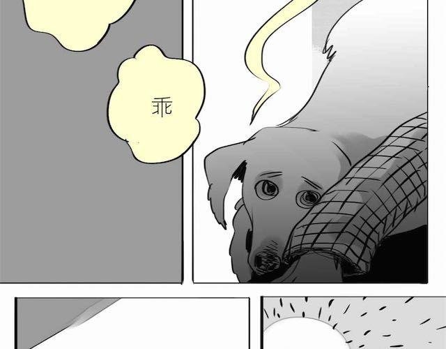 第58话 一起去散步