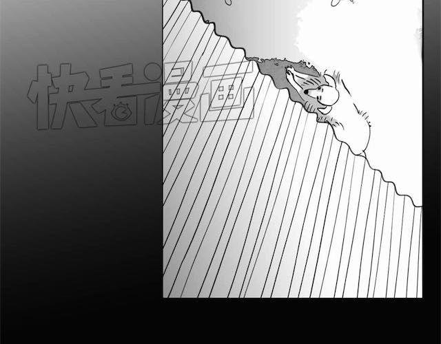 第58话 一起去散步