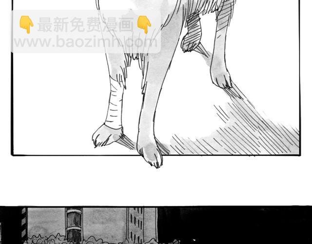第8话 家里来了位汪星人