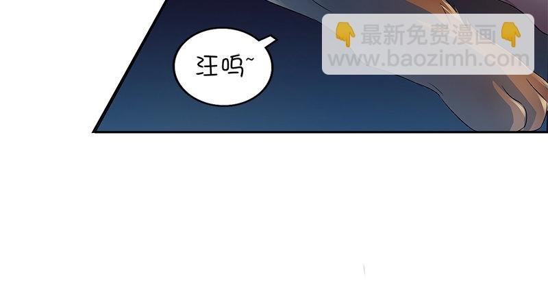 第一话 岛名侠客