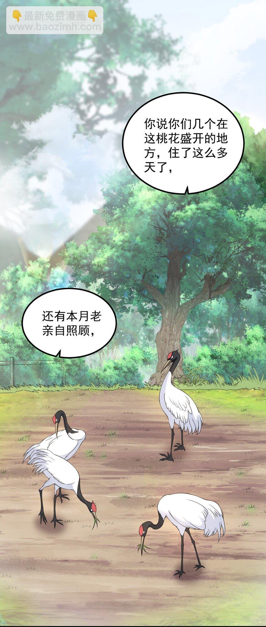 5 第五话