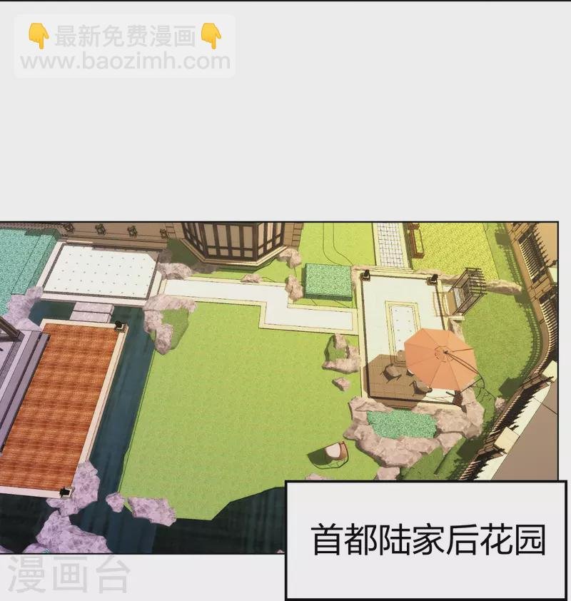 第211话 陆家怒火！！
