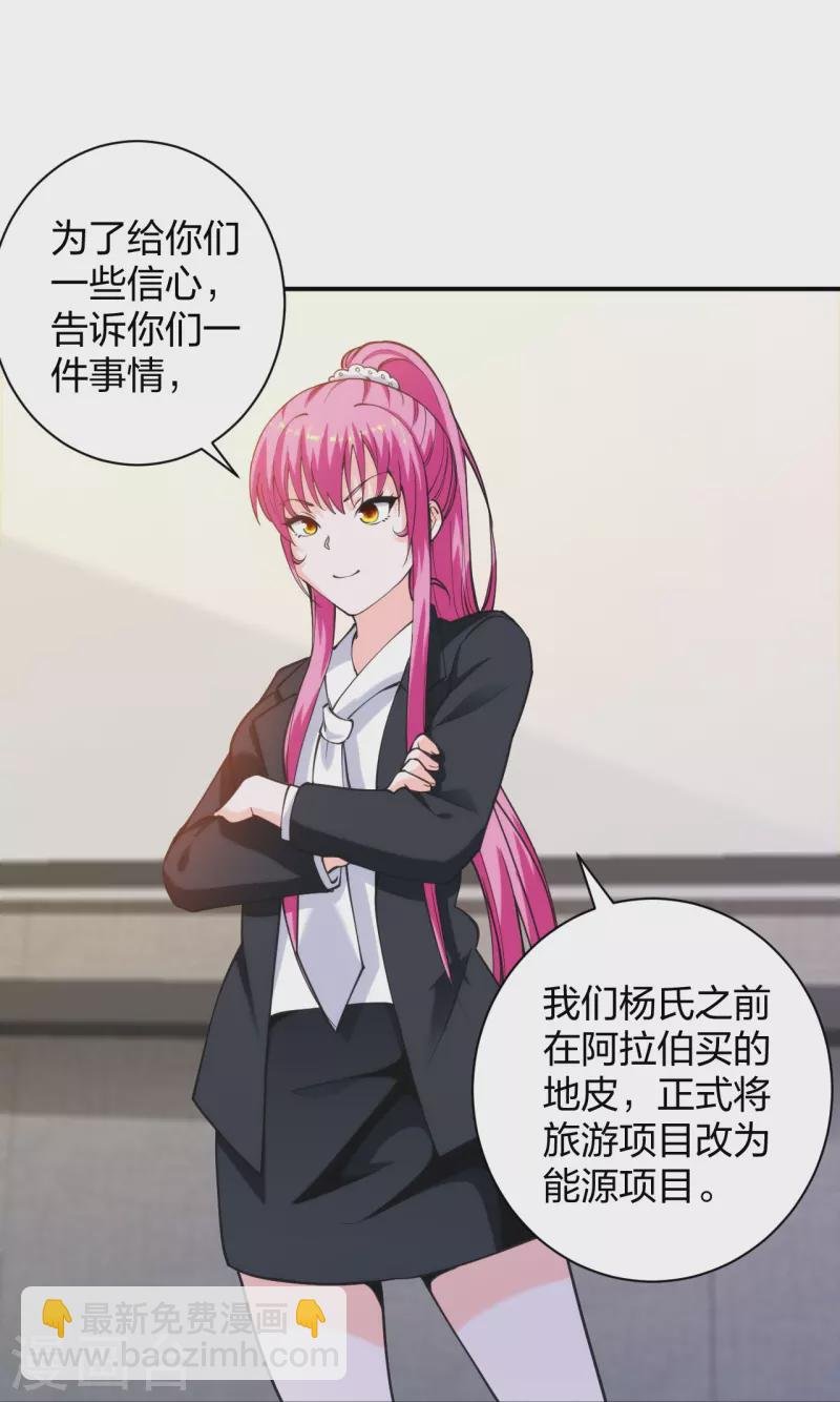 第228话 新的能源项目