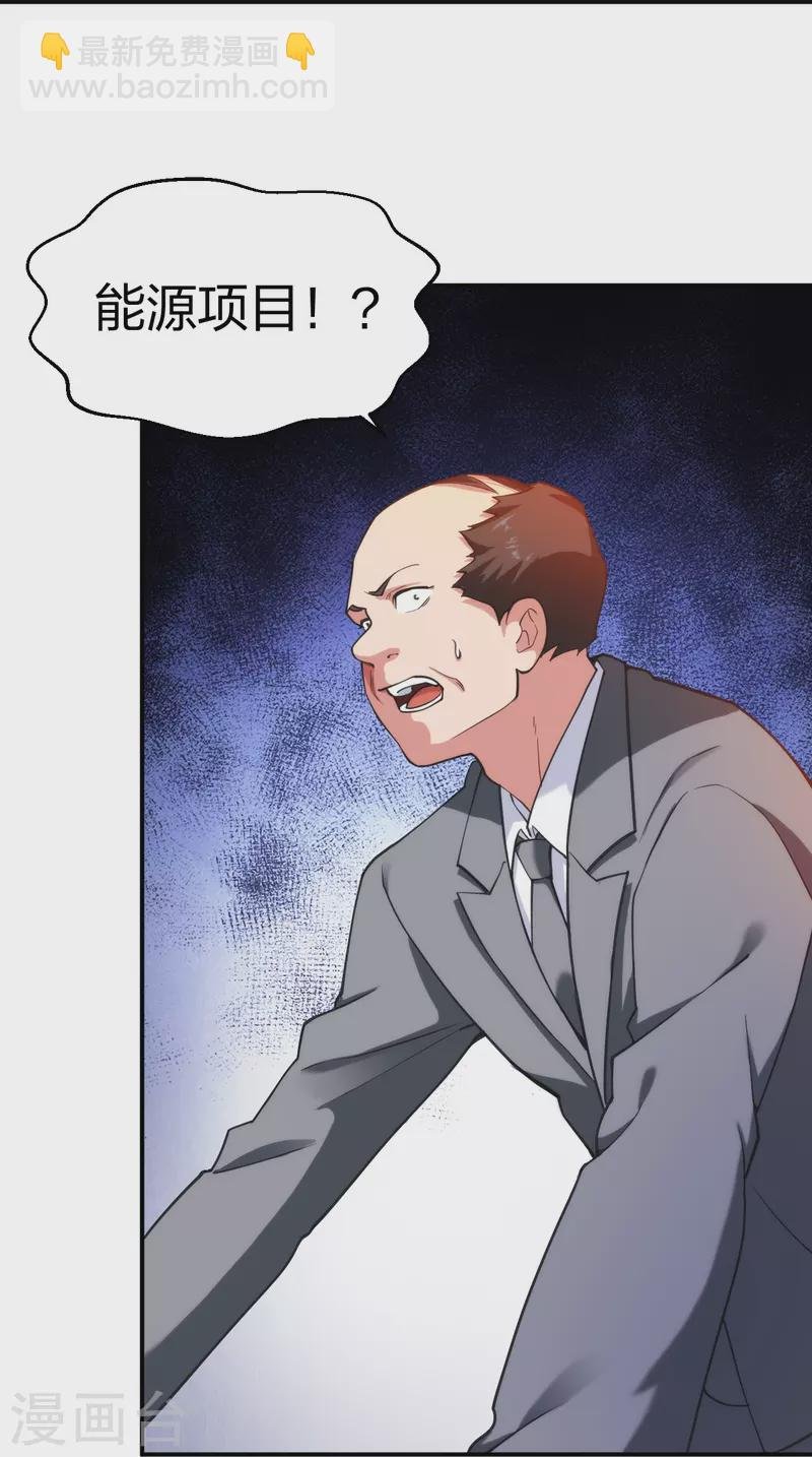 第228话 新的能源项目