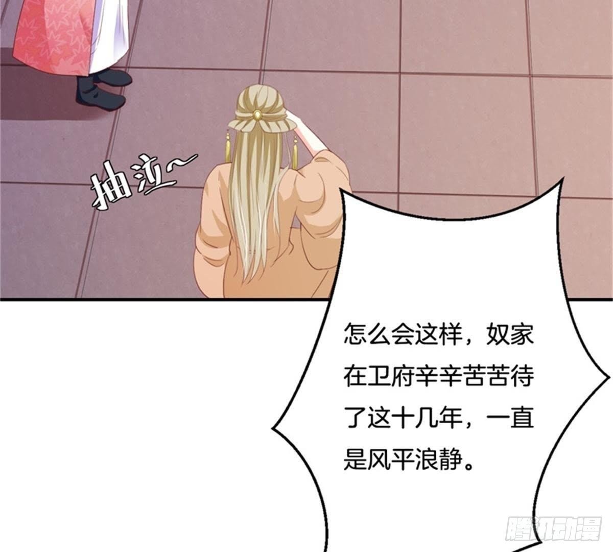 第29话 你只是个妾