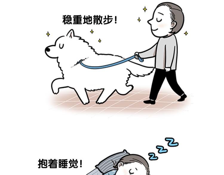 序章 我有一只萨摩耶