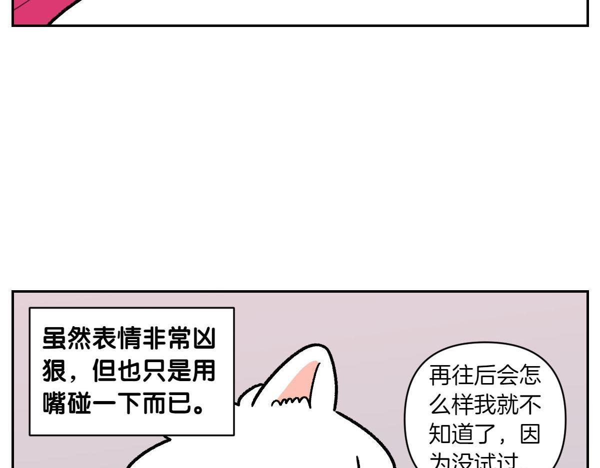 第36话 狗和猫的身体语言