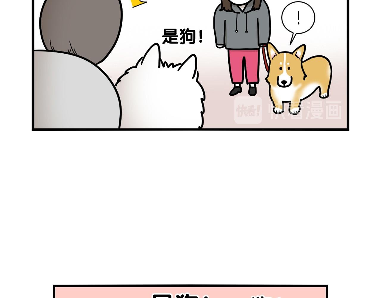 第10话 狗子也社交？