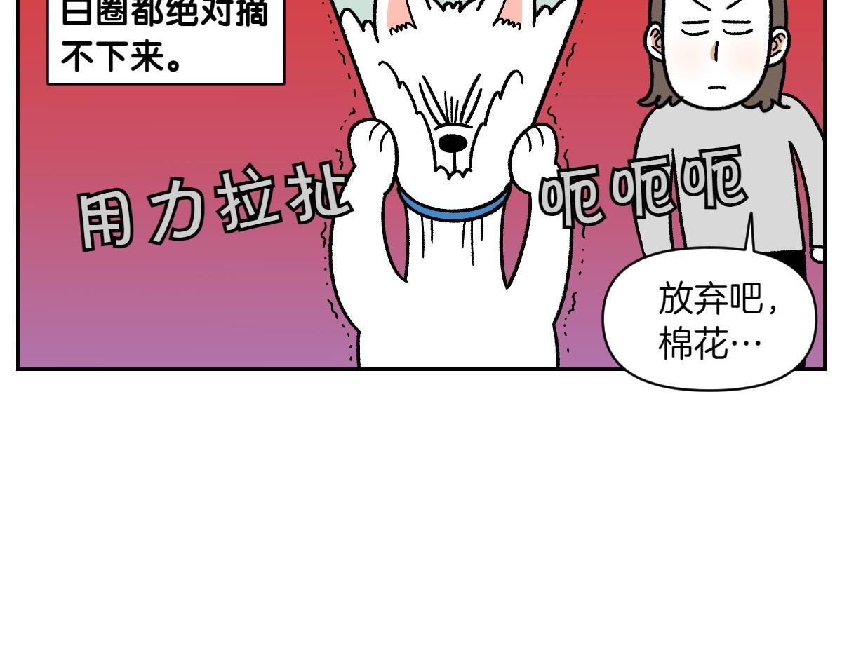 第44话 治疗眼病(3)