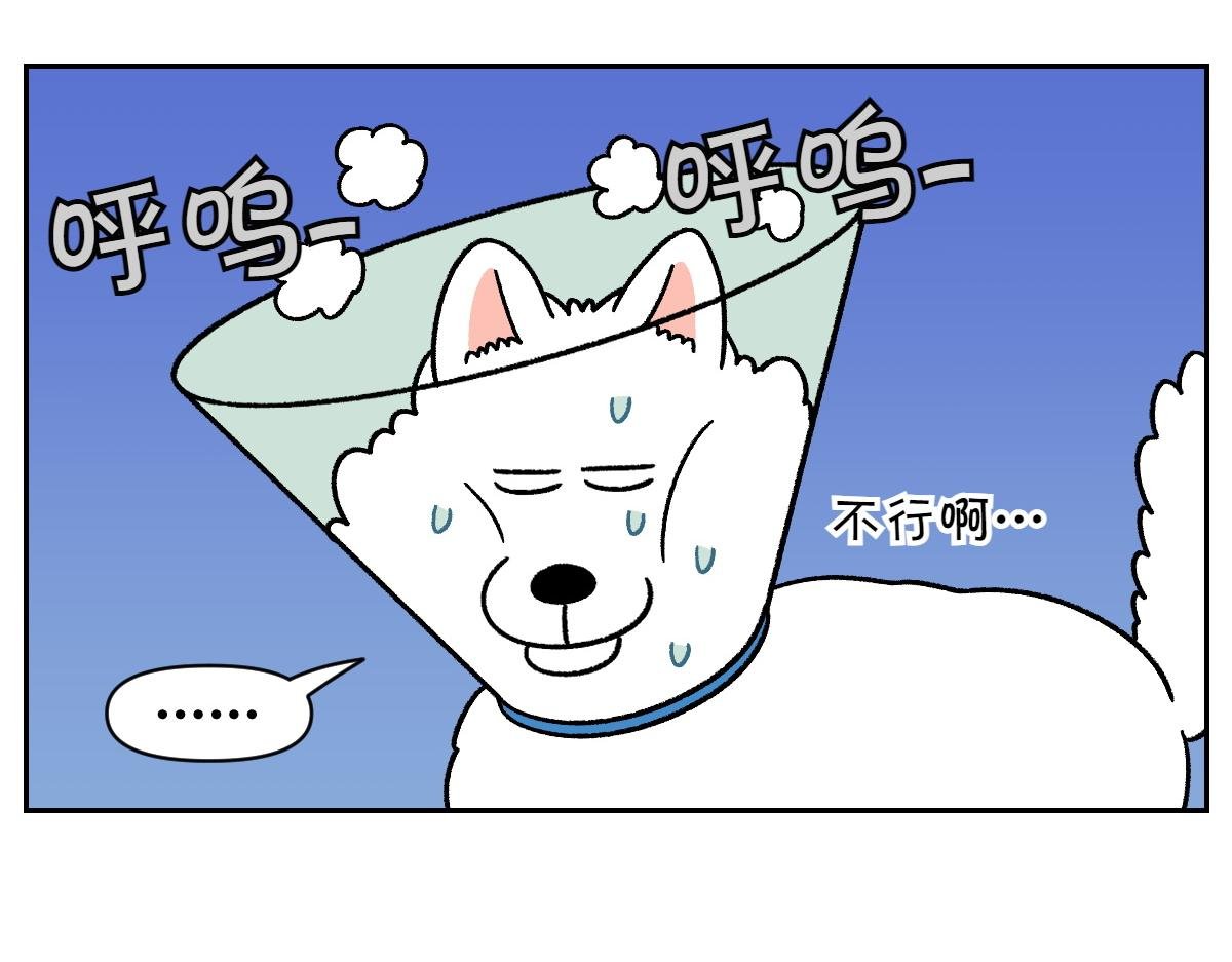 第44话 治疗眼病(3)