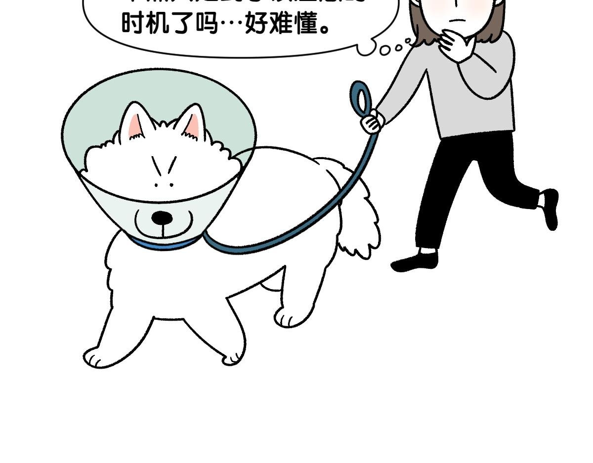 第44话 治疗眼病(3)