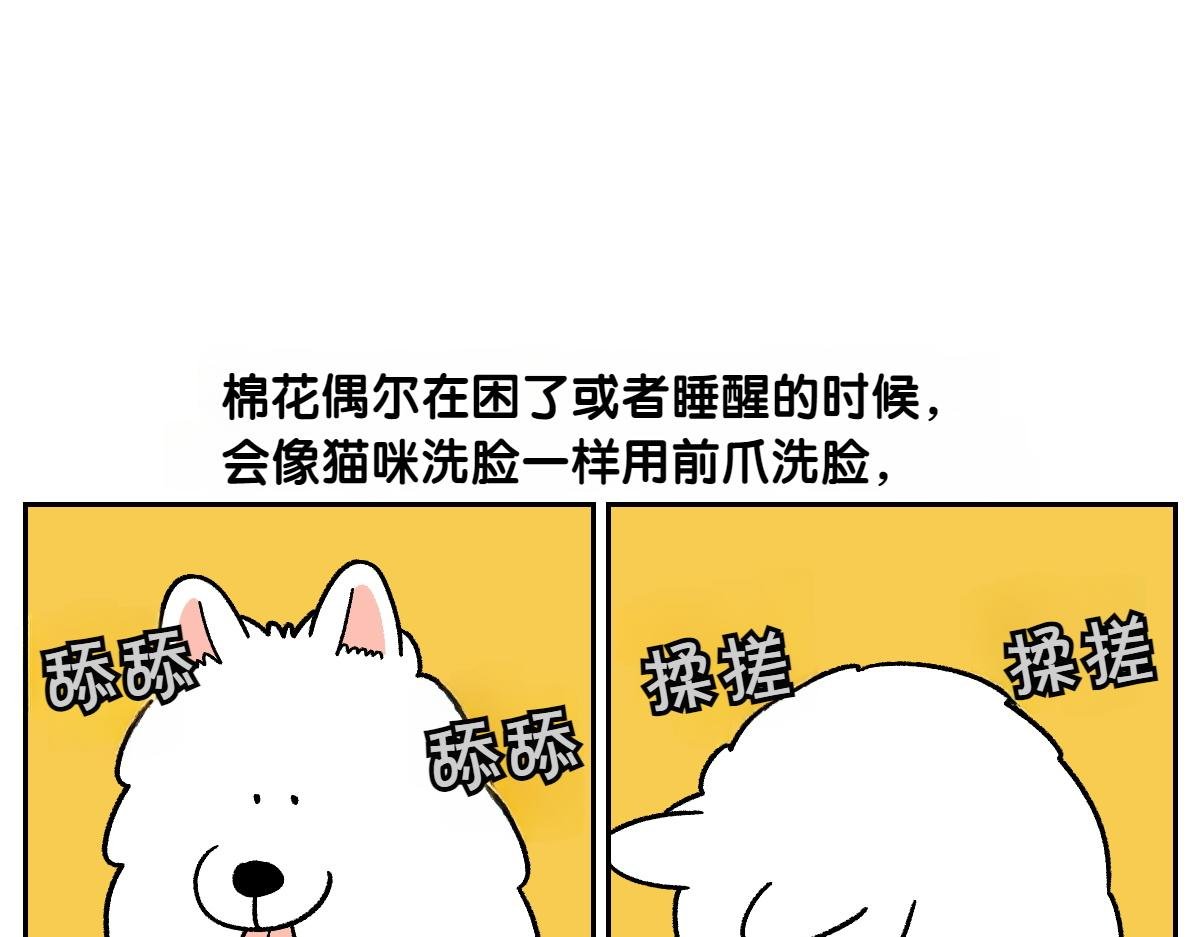 第44话 治疗眼病(3)