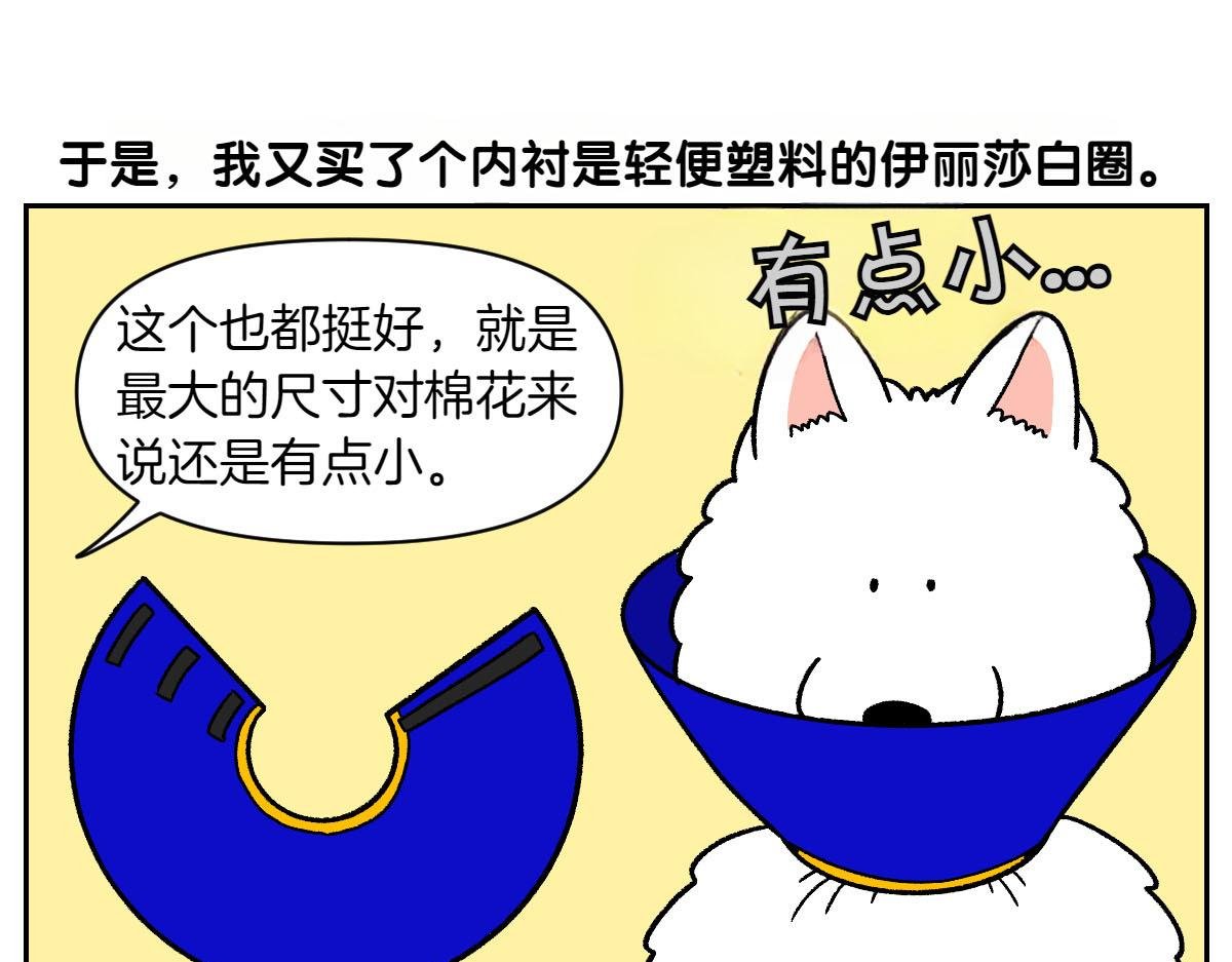 第44话 治疗眼病(3)