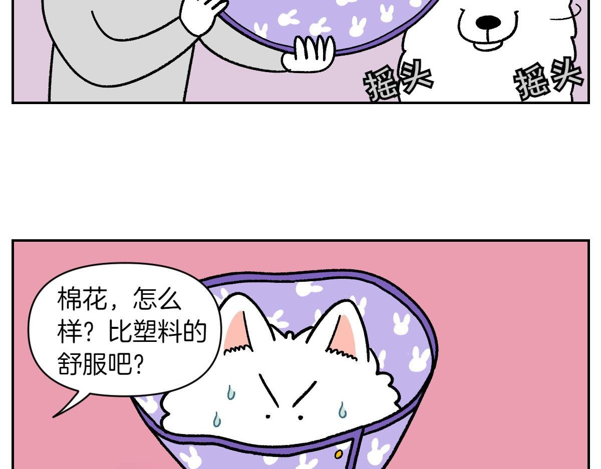 第44话 治疗眼病(3)
