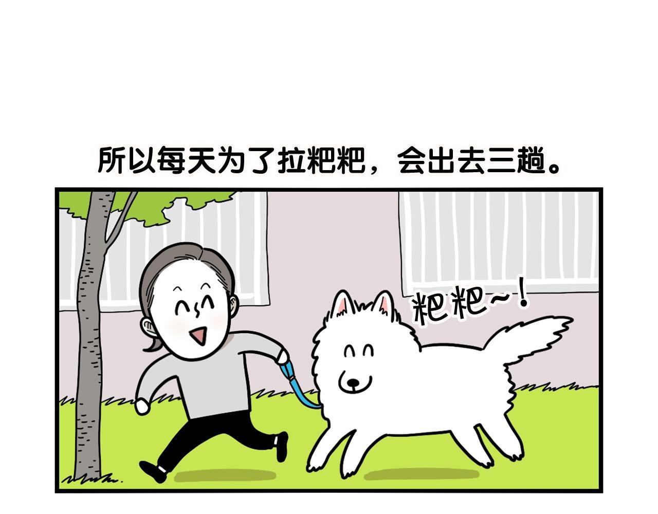 第11话 捡狗粑粑那些事～