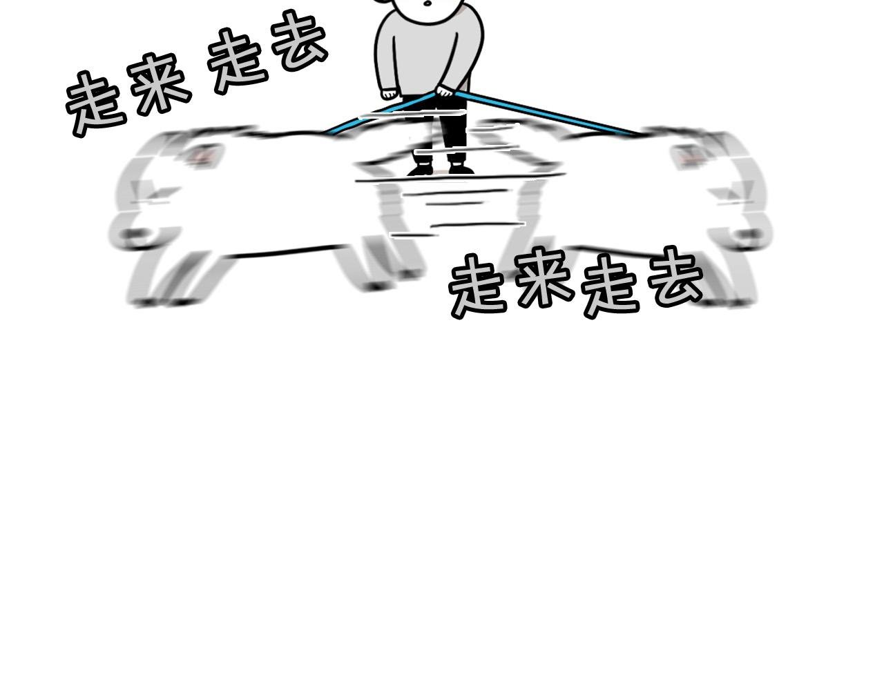 第11话 捡狗粑粑那些事～
