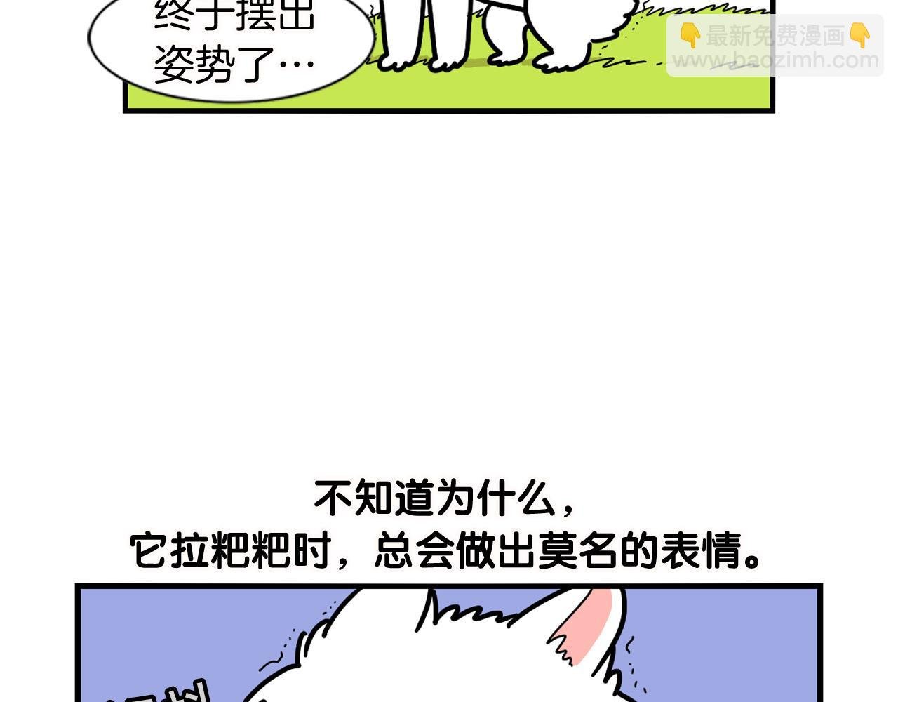 第11话 捡狗粑粑那些事～