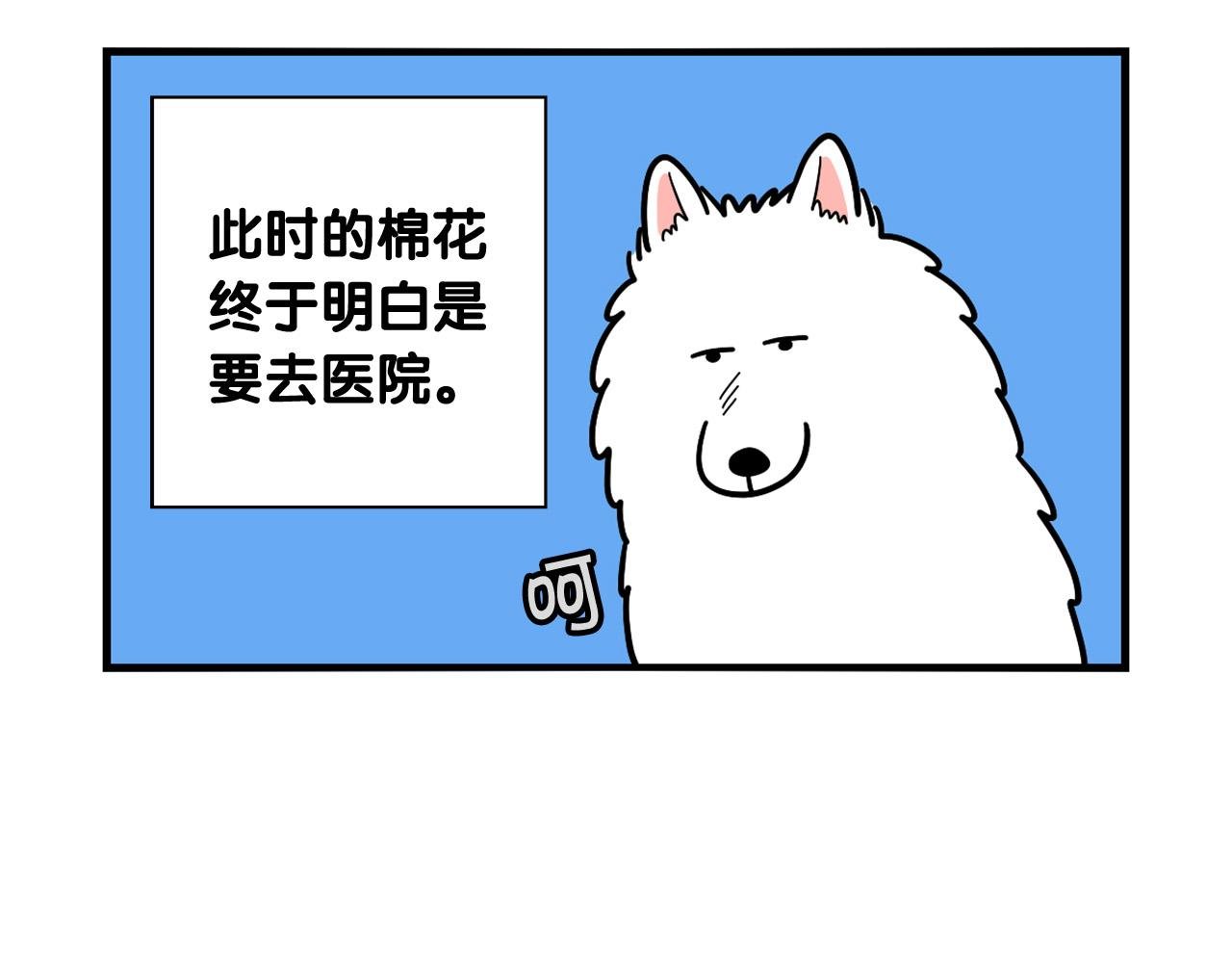 第15话 医院之行