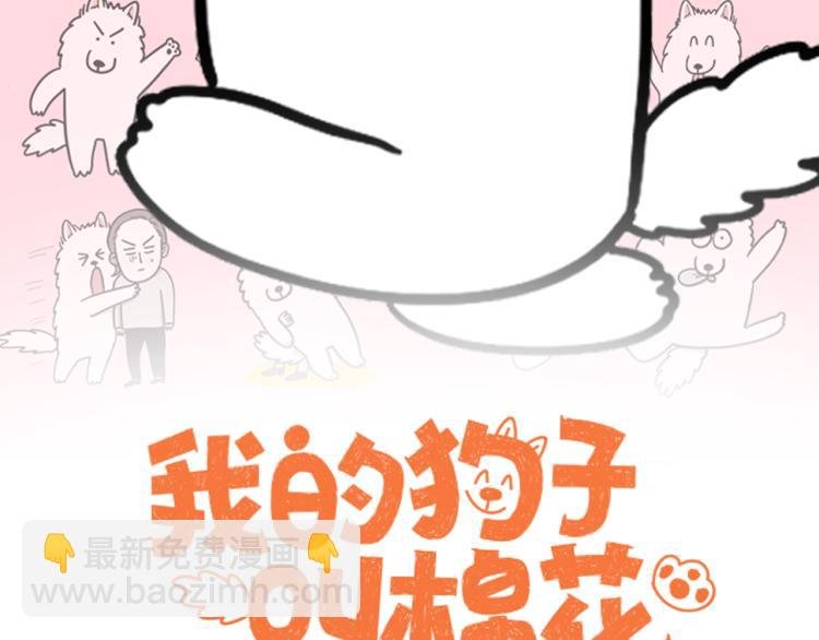 第17话 酷爱捡东西