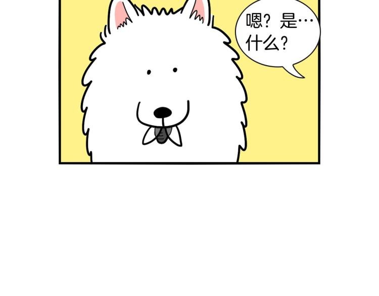 第17话 酷爱捡东西