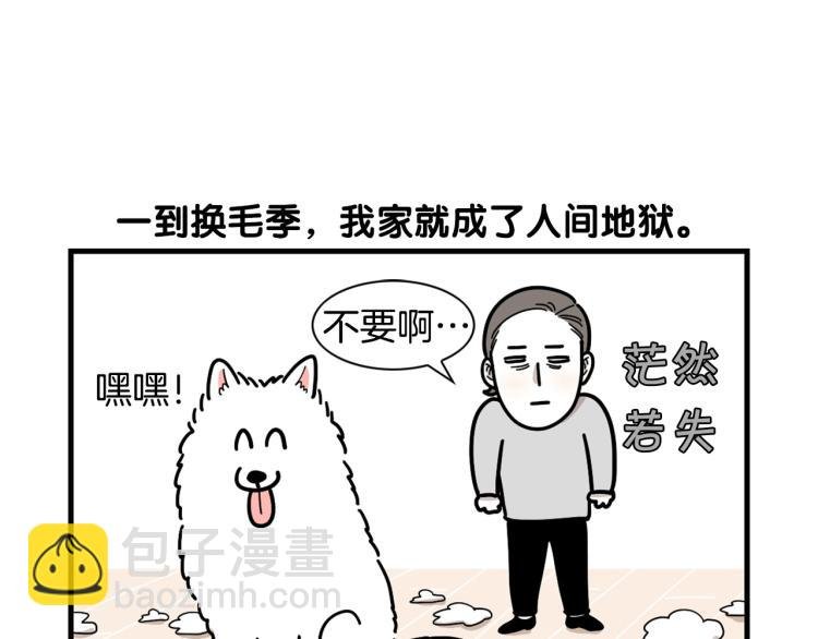 第1话 掉毛大王
