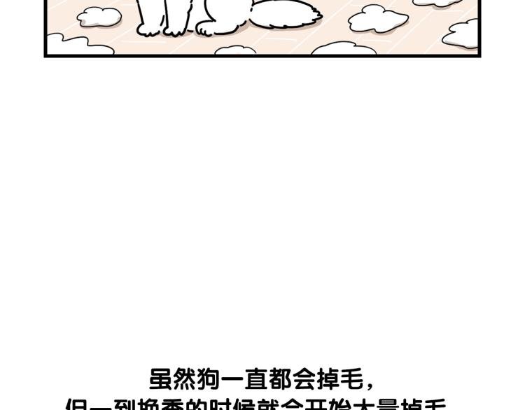 第1话 掉毛大王