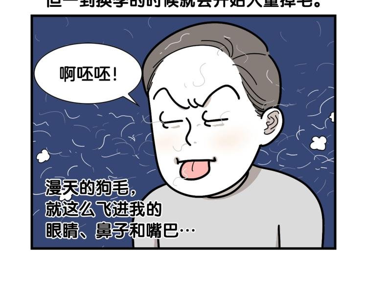 第1话 掉毛大王