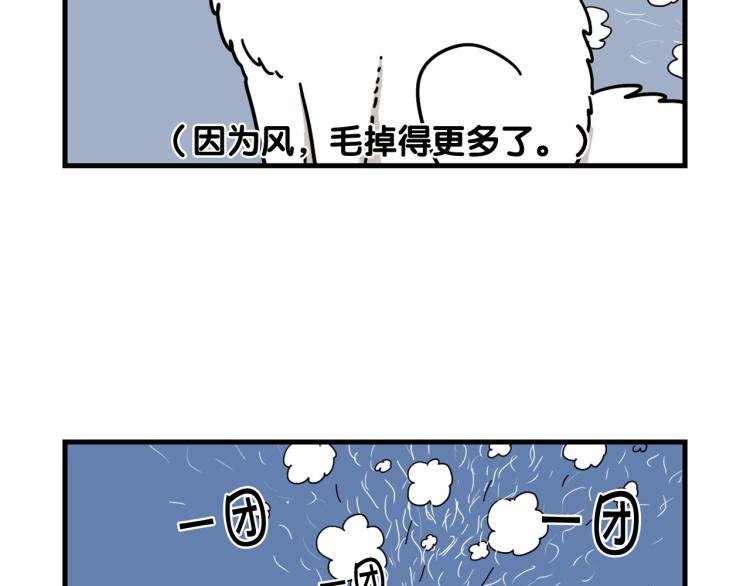 第1话 掉毛大王