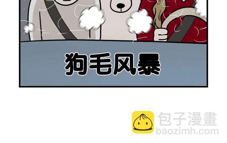 第1话 掉毛大王