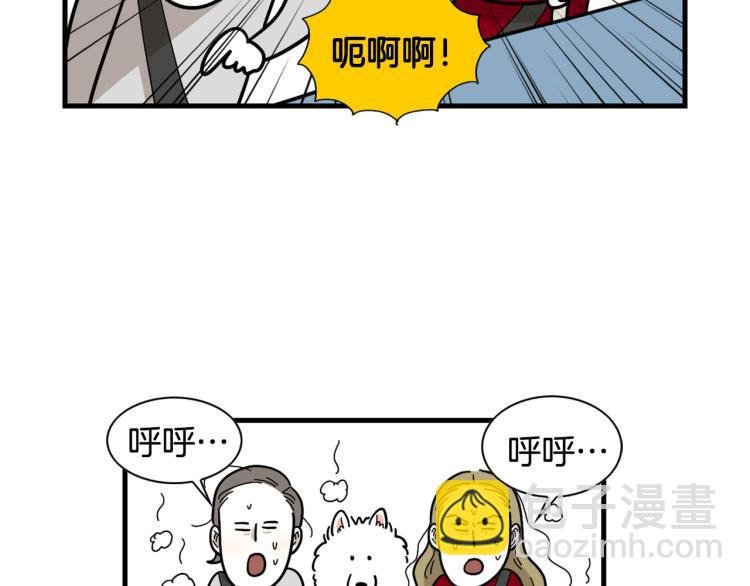 第1话 掉毛大王