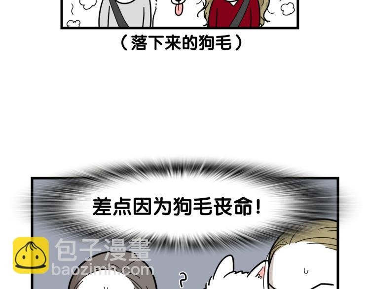 第1话 掉毛大王