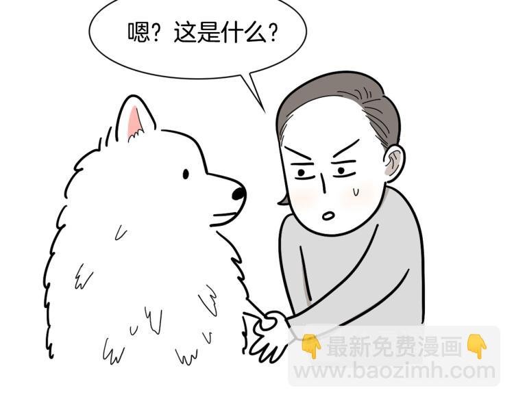 第1话 掉毛大王