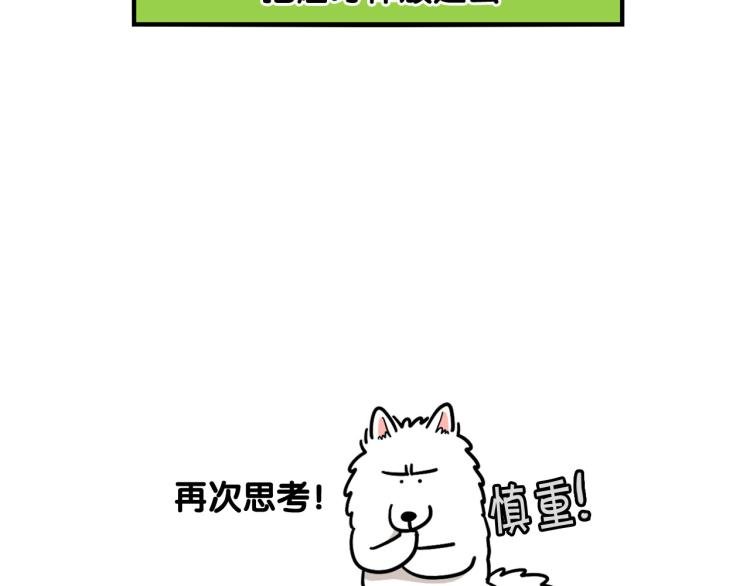 第19话 藏磨牙棒