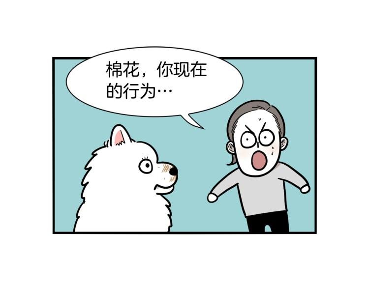 第19话 藏磨牙棒