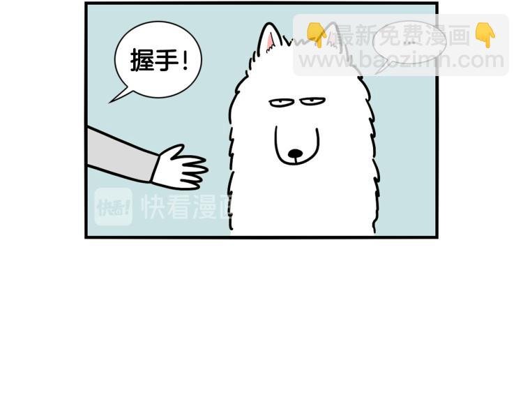 第2话 训练狗子