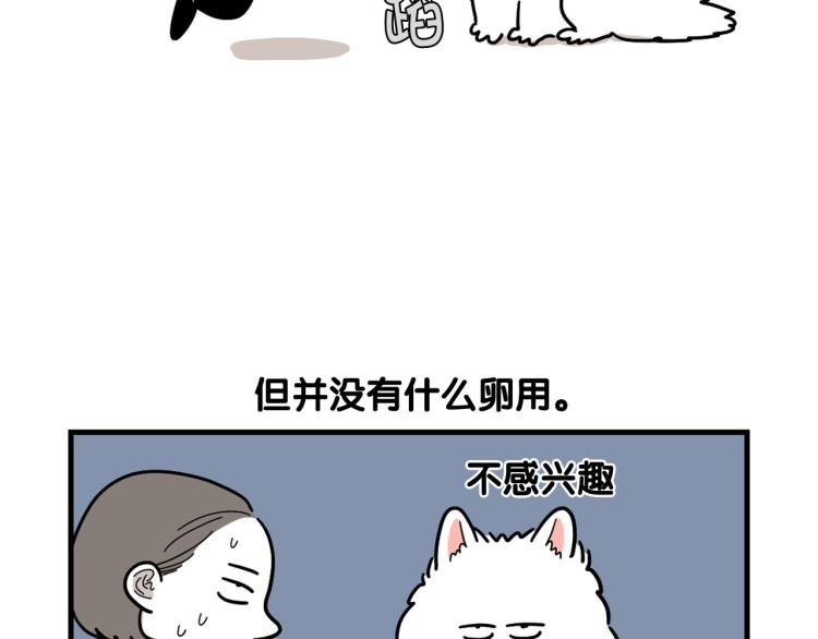 第2话 训练狗子
