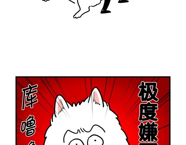 第2话 训练狗子
